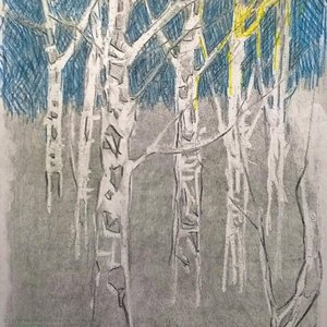 In The Forest — Alfred Freddy Krupa