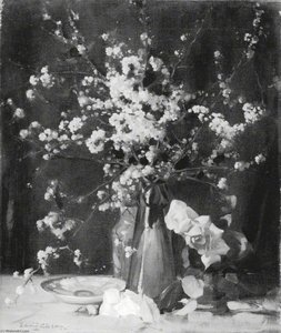 Spring Blossoms