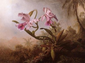 Orchids And Hummingbird 1 — Martin Johnson Heade