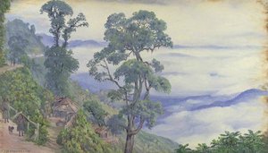 Wolken Aus Darjeeling. Sept. 1878. Indien — Marianne North, Viktorianische Botanische Malerei