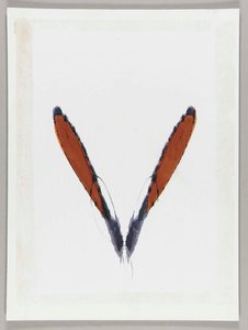 Laurel's Rabbit — Joseph Cornell