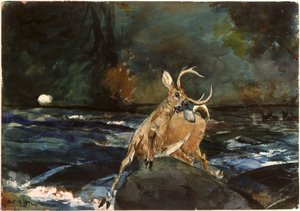Un Buen Disparo — Winslow Homer, Realismo Estadounidense