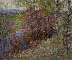 Flowering Shrubs, Spring On Esk — David Waterson
