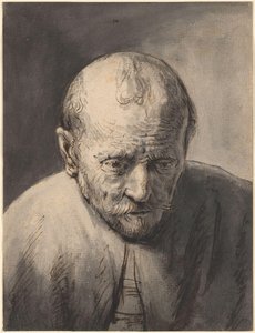 Young Woman At Her Toilet, Graphische S — Rembrandt Van Rijn