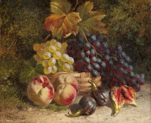 Still life - fruit