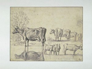 Study, Sheet Of Eight Studies Of Cows — Aelbert Jacobsz Cuyp