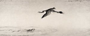 The Loon — James E Allen