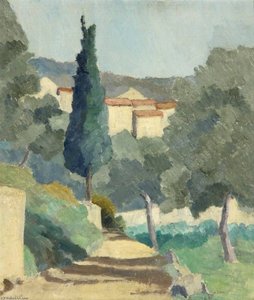 Olive Grove near Meganosque