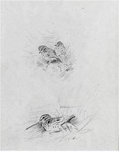 Snipe And Redwing — Archibald Thorburn
