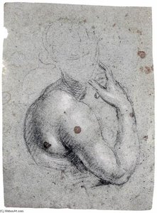 Study of a Half-Length Figure