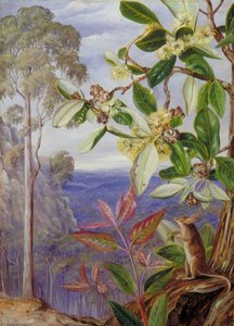 View Over The Blue Mountains Towards The Sea, New South Wales — Marianne North, Victorian Naturalism