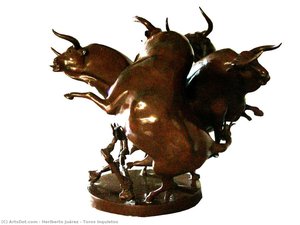 Toros inquietos