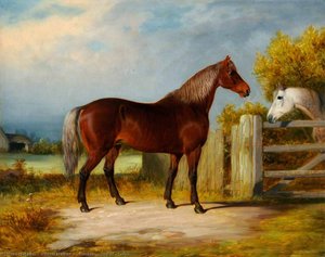 'samson', Sire Of 'sally' — William Malbon