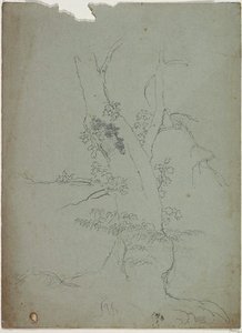 Tree Trunk3 — Томас Коле, Hudson River School
