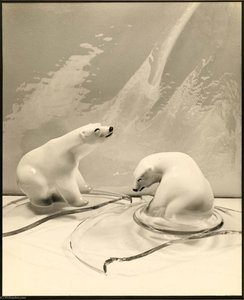 Arctic — Grace M Ballentine