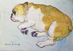 Our Spike Sleeps — Krupa