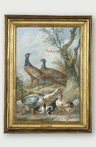 Oiseaux Divers, Dont Un Couple De Faisans — Jean-baptiste Oudry