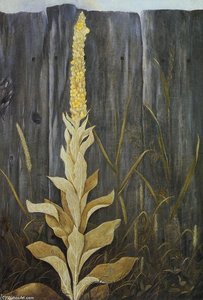 Flowering Plant Against A Fence — Levi Wells Prentice