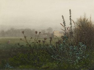 Country Scene