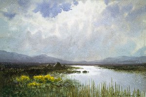 Connemara Landscape