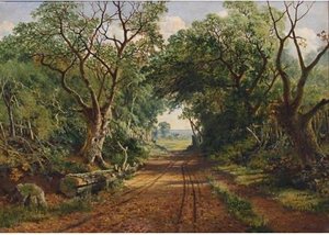 A Wooded Country Lane — Edward H. Niemann