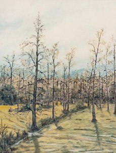Untitled (aqre6a) — Eugenio Cruz Vargas