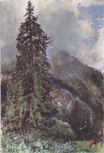 The Large Pine In Gastein — Rudolf Von Alt