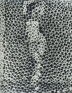 Reflections — Man Ray, Surrealism