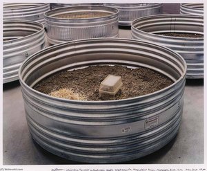 Containers Housing Voles Included in Research Studies Designed to Develop Strategies For Managing Rodent Damage. National Wildlife Research Center. Fort Collins, Colorado