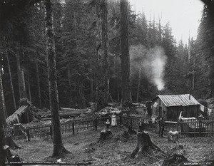 Homesteader's Shake Cabin