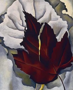 Pattern Of Leaves — Georgia O'keeffe
