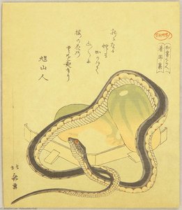Snake And Gourds — Katsushika Hokusai