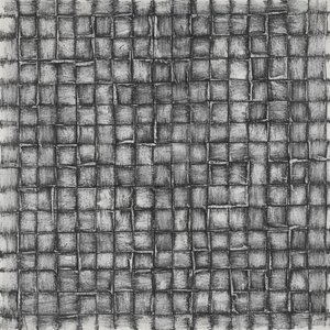 Fragmented Monolith: A Singular Study Of Charcoal Shadows And Organic Lattice Tension — Laurent Vionnet, Minimalist Art
