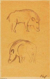 Boars (two) — Heinz Warneke