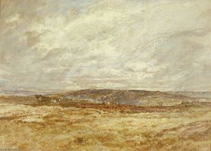 Bracelet Moor, Cumbria — Oliver Hall