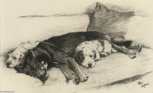 The Much Maligned — Beatrice Parsons