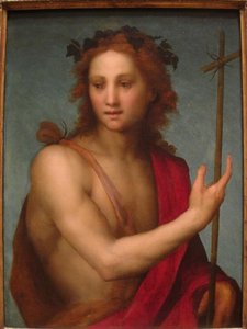 Saint John The Baptist — Andrea Del Sarto