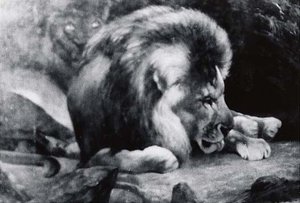 Lions, (painting)
