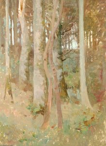 Tree In A Glade — Benjamin Haughton