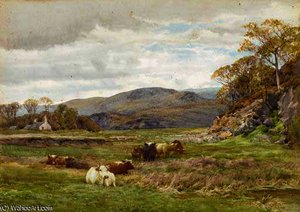 Rough pastures