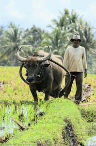Rendang Minang Legacy To The World — Reno Andam Suri