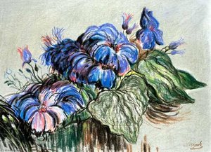 Exotic Flowers