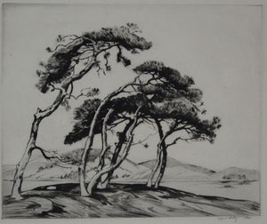 Northern Pines Dark