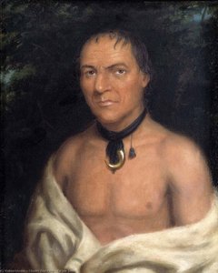 Co Sne Boin — Charles Bird King
