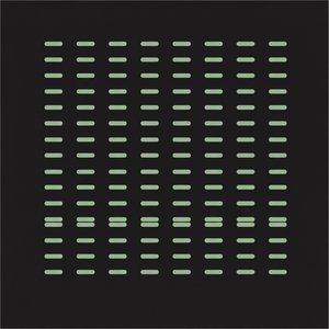 Symmetrie In Salbei: Eine Meditative Studie Geometrischer Ordnung Und Unendlicher Ruhe — Laurent Vionnet