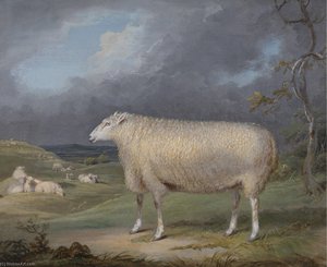 A Border Leicester Ewe — James Ward, Romantic Landscape