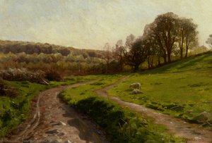 A Country Field — Peder Mørk Mønsted