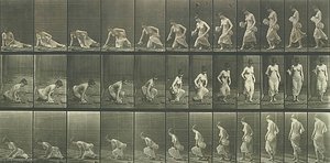 Woman Sitting Down On The Ground, From The Book Animal Locomotion — Eadweard J Muybridge