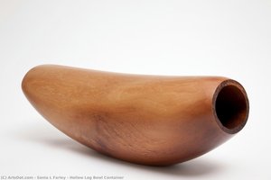 Hollow Log Bowl Container — Sonia L Farley