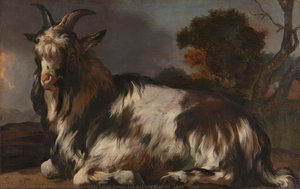 Goat Lying Down, Jan Baptist Weenix, 1645 - 1660